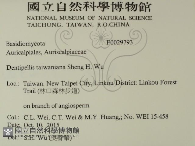 登錄號:F0029793藏品圖，第2張