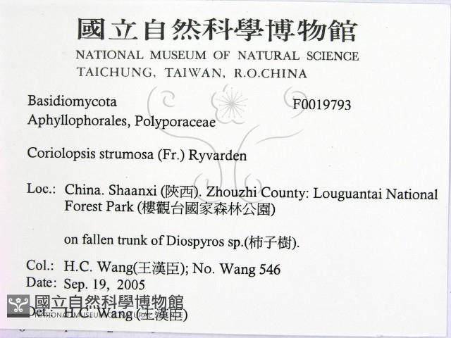 登錄號:F0019793藏品圖，第2張