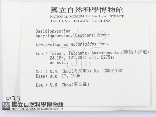 登錄號:F0003793藏品圖，第2張