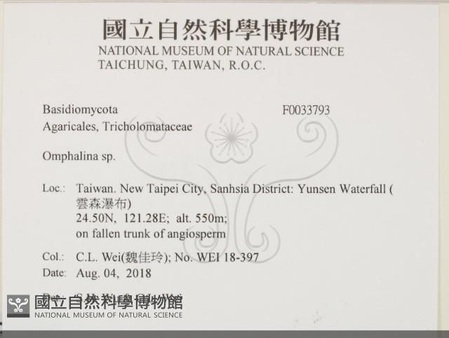 登錄號:F0033793藏品圖，第2張