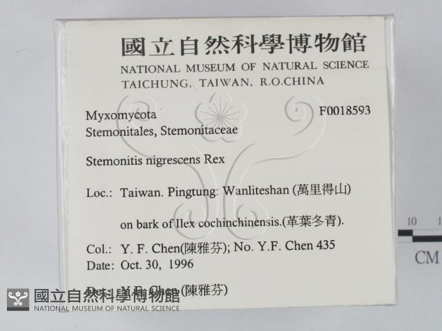 登錄號:F0018593藏品圖，第2張