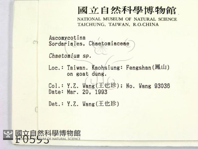 館號:F0000593藏品圖，第2張