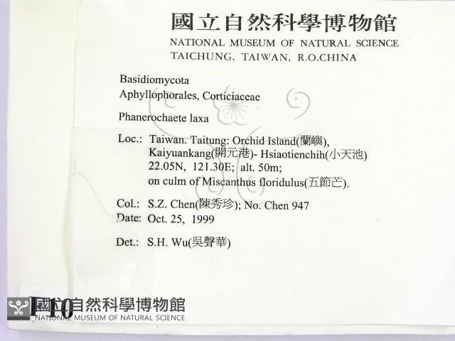 登錄號:F0010593藏品圖，第2張