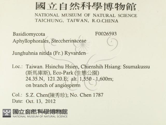 登錄號:F0026593藏品圖，第2張