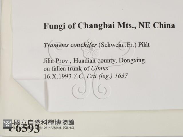 登錄號:F0006593藏品圖，第2張