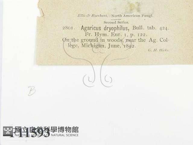 登錄號:F0011593藏品圖，第2張