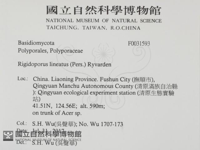 登錄號:F0031593藏品圖，第2張