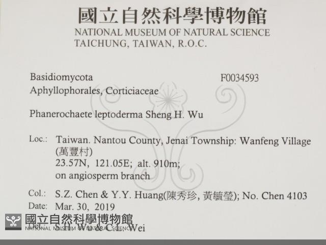 登錄號:F0034593藏品圖，第2張