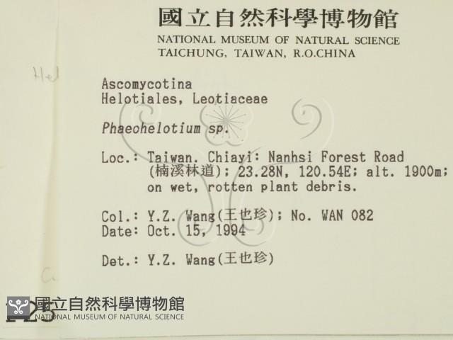 登錄號:F0002593藏品圖，第2張