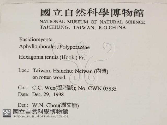 登錄號:F0012593藏品圖，第2張