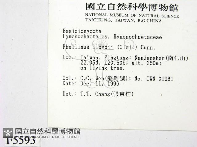 登錄號:F0005593藏品圖，第2張