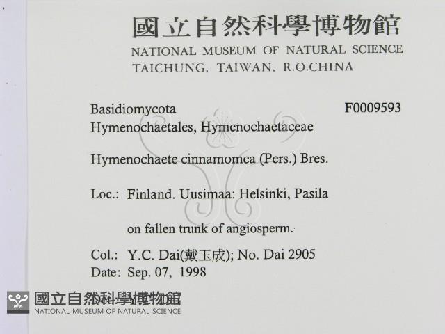 登錄號:F0009593藏品圖，第2張