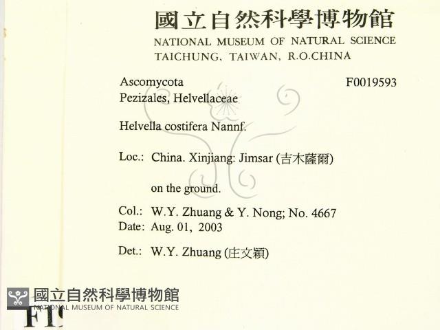 登錄號:F0019593藏品圖，第2張