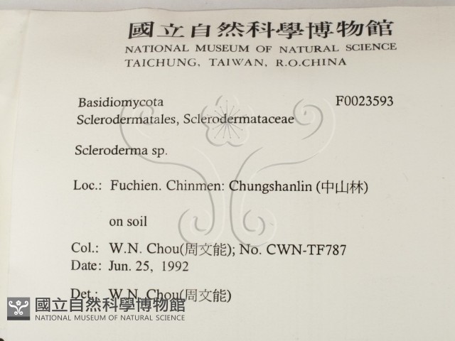 登錄號:F0023593藏品圖，第2張