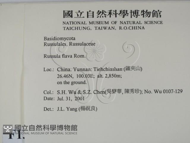 登錄號:F0013593藏品圖，第2張