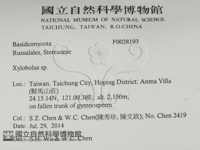 登錄號:F0028193藏品圖，第2張