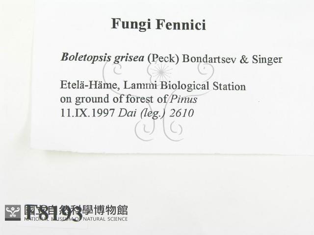 登錄號:F0008193藏品圖，第2張