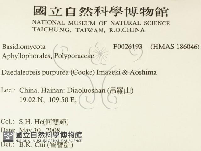 登錄號:F0026193藏品圖，第2張