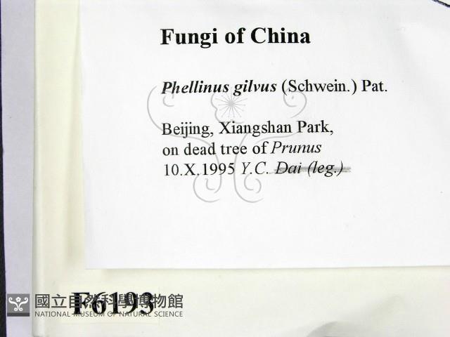 登錄號:F0006193藏品圖，第2張
