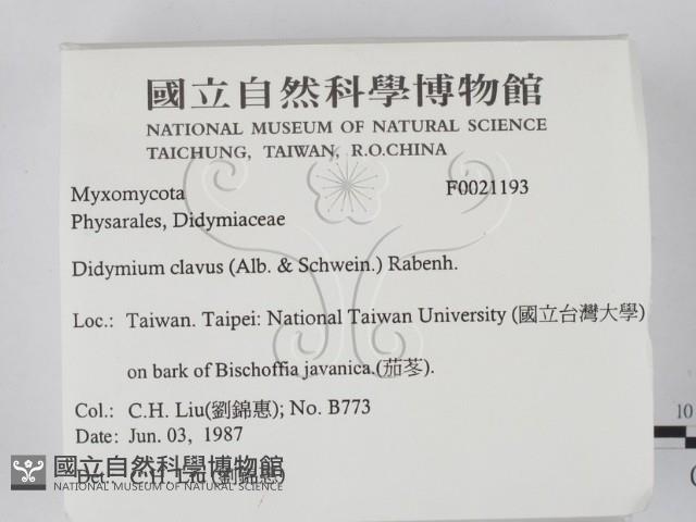 登錄號:F0021193藏品圖，第2張