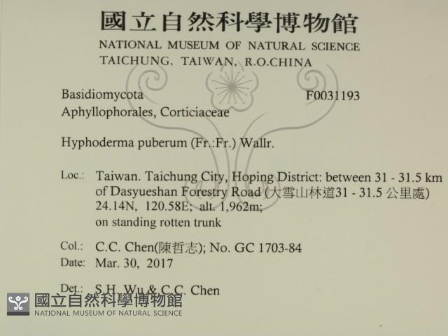 登錄號:F0031193藏品圖，第1張