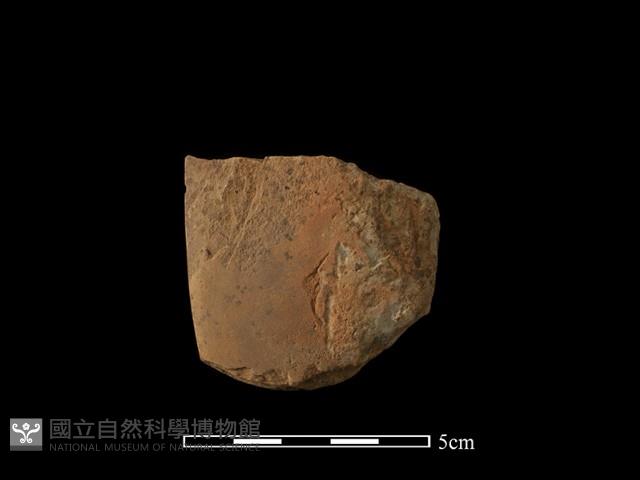 磨製斧鋤形器藏品圖，第2張