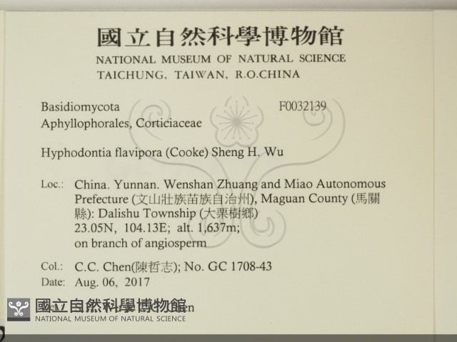 登錄號:F0032193藏品圖，第2張