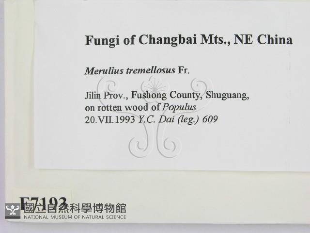 登錄號:F0007193藏品圖，第2張