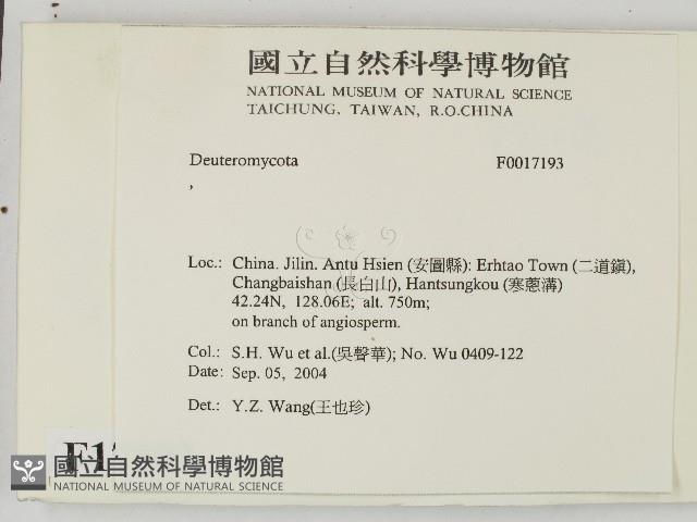 登錄號:F0017193藏品圖，第2張