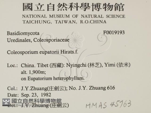 登錄號:F0019193藏品圖，第2張