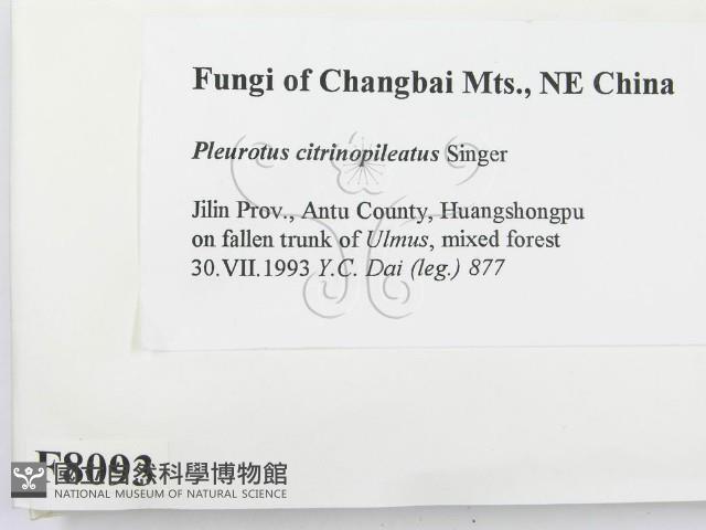 登錄號:F0008093藏品圖，第2張