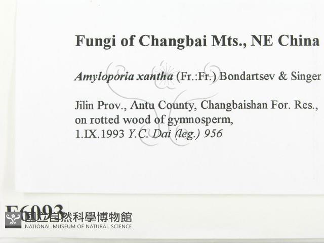 登錄號:F0006093藏品圖，第2張