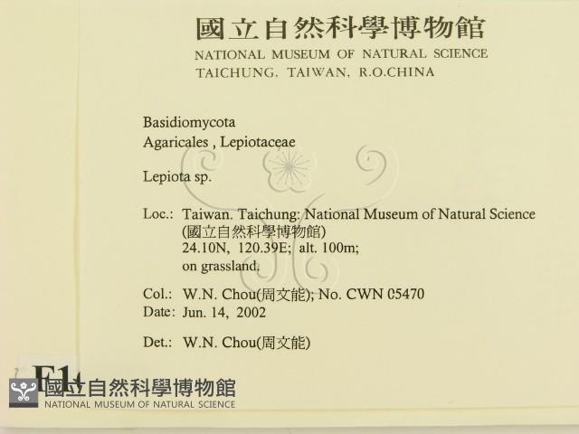 登錄號:F0016093藏品圖，第2張