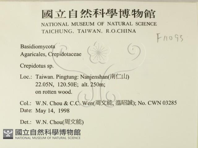 登錄號:F0011093藏品圖，第2張