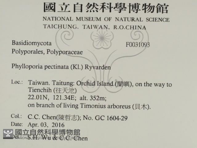 登錄號:F0031093藏品圖，第2張