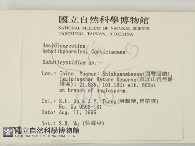 登錄號:F0004093藏品圖，第2張