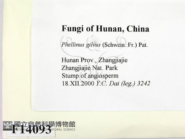 登錄號:F0014093藏品圖，第2張