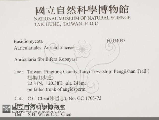 登錄號:F0034093藏品圖，第2張