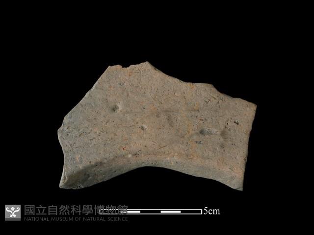 連杯形器藏品圖，第2張