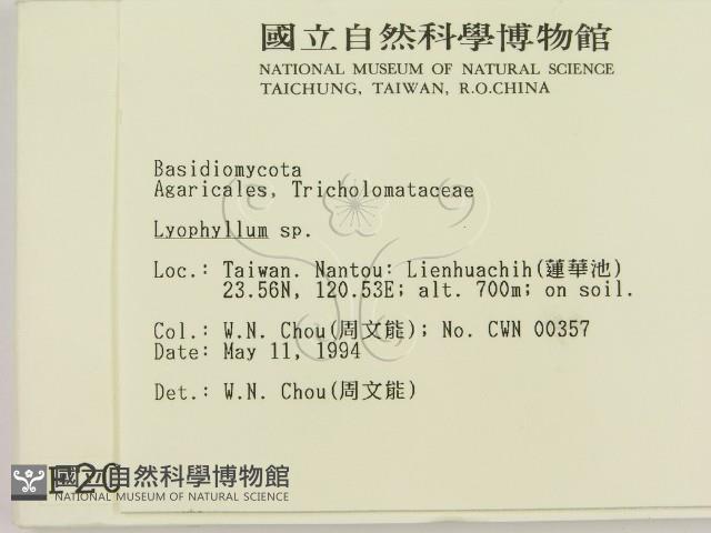 登錄號:F0002093藏品圖，第2張