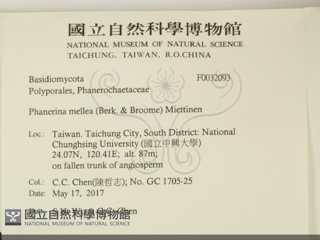 登錄號:F0032093藏品圖，第2張
