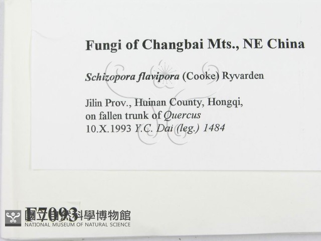 登錄號:F0007093藏品圖，第2張