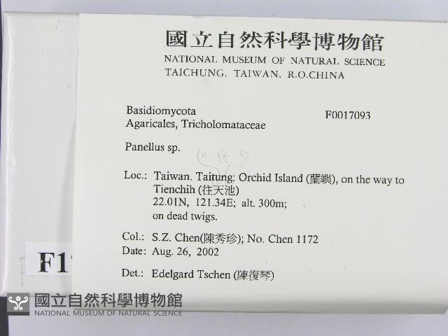 登錄號:F0017093藏品圖，第2張