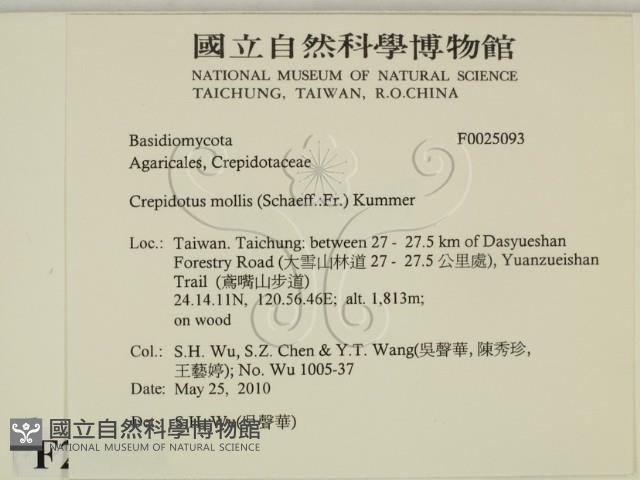 登錄號:F0025093藏品圖，第2張