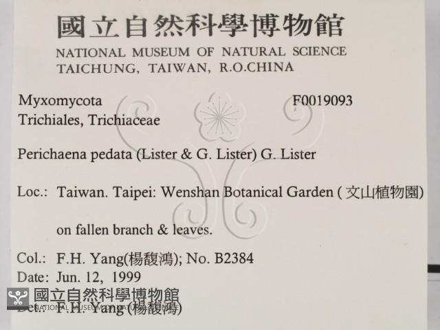 登錄號:F0019093藏品圖，第2張