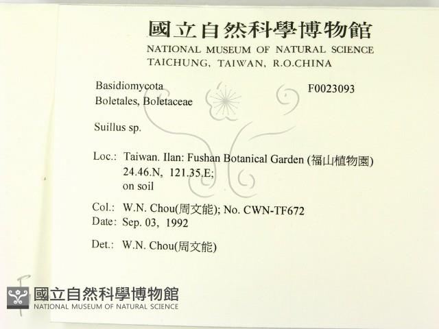 登錄號:F0023093藏品圖，第2張