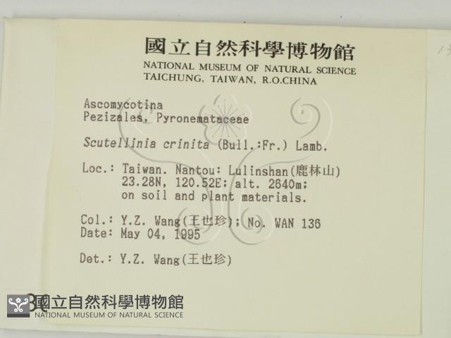 登錄號:F0003093藏品圖，第2張