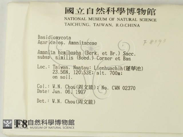 登錄號:F0008393藏品圖，第2張