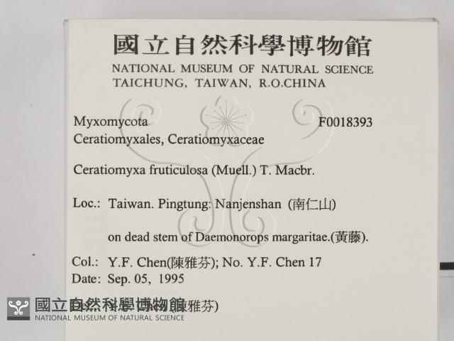 登錄號:F0018393藏品圖，第2張