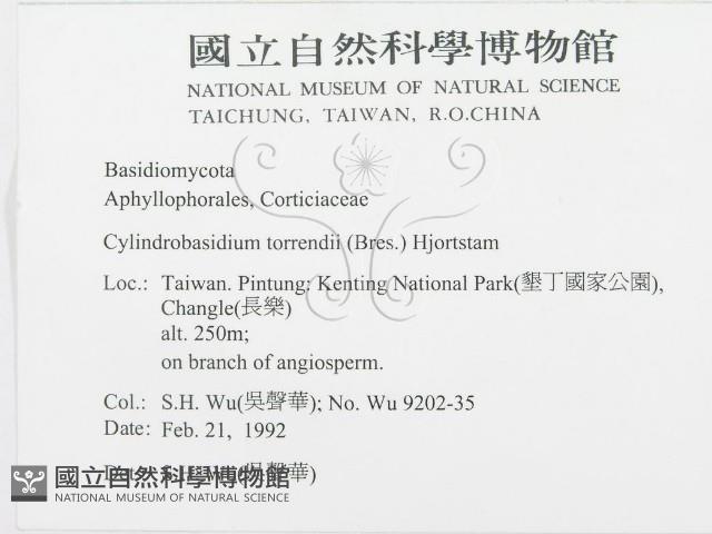 登錄號:F0000393藏品圖，第2張